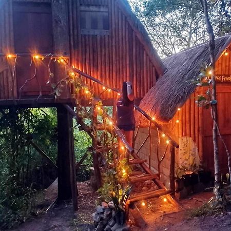 Sanctuaria Treehouses バスアンガ エクステリア 写真