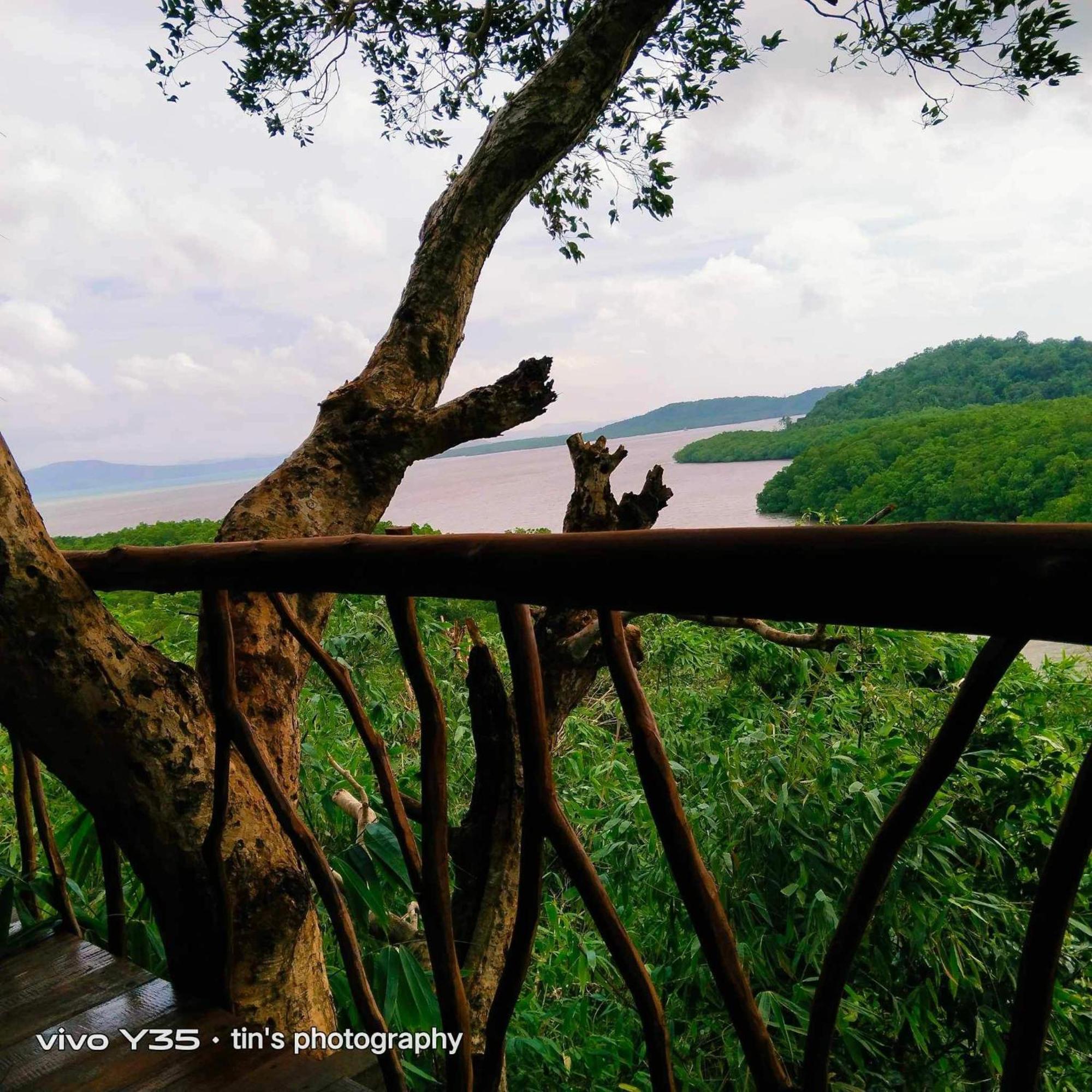 Sanctuaria Treehouses バスアンガ エクステリア 写真