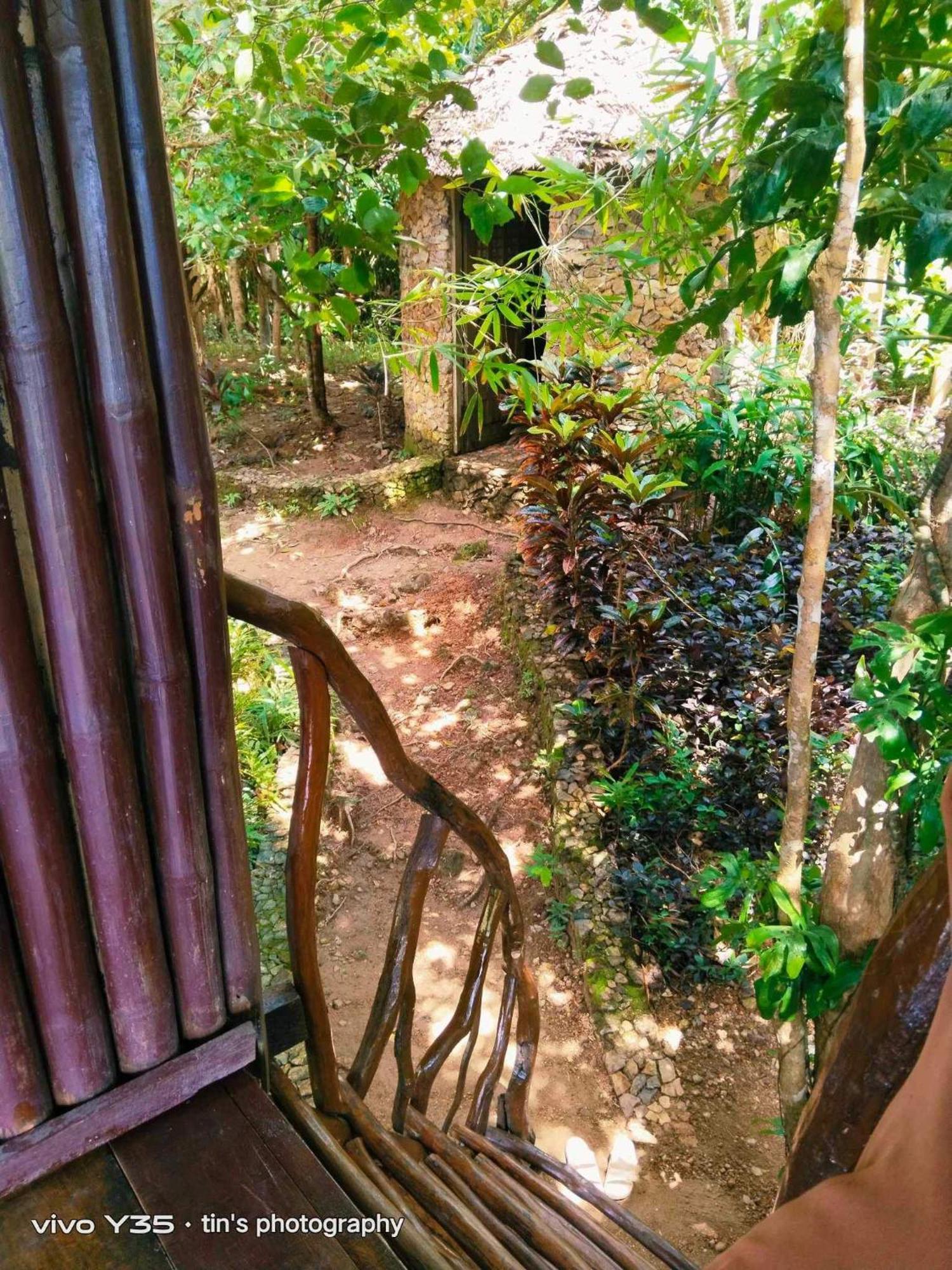 Sanctuaria Treehouses バスアンガ エクステリア 写真