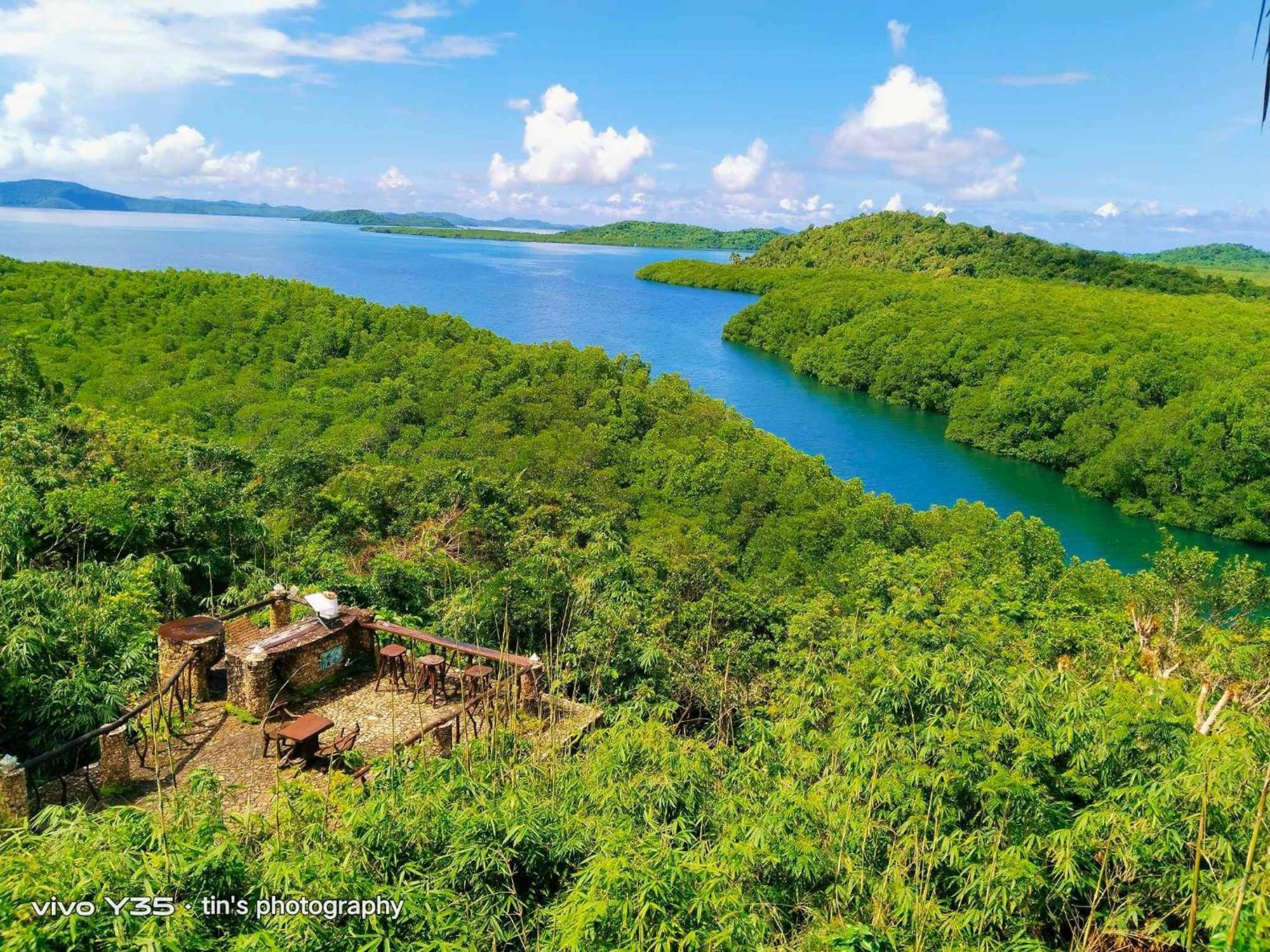 Sanctuaria Treehouses バスアンガ エクステリア 写真