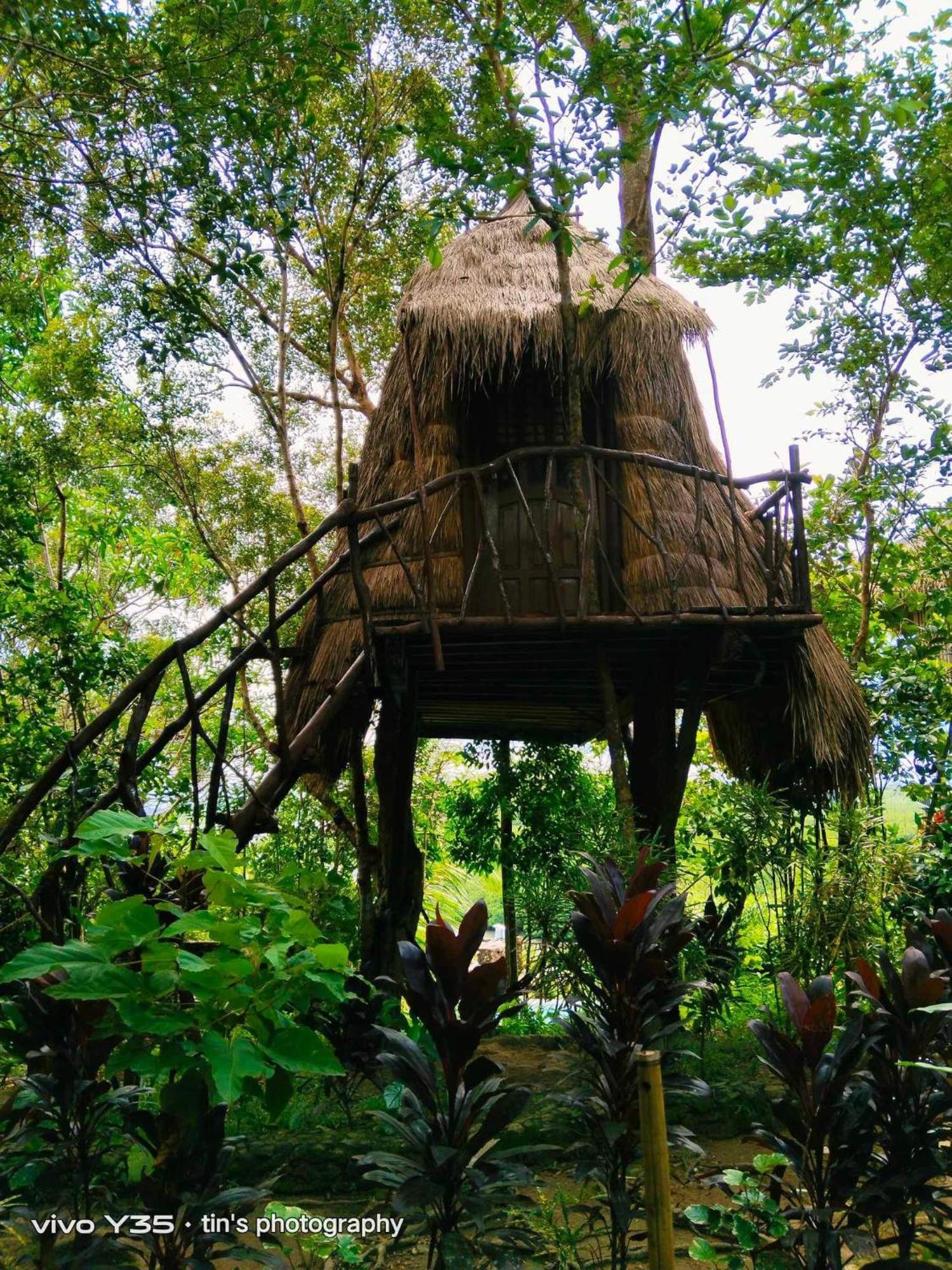 Sanctuaria Treehouses バスアンガ エクステリア 写真