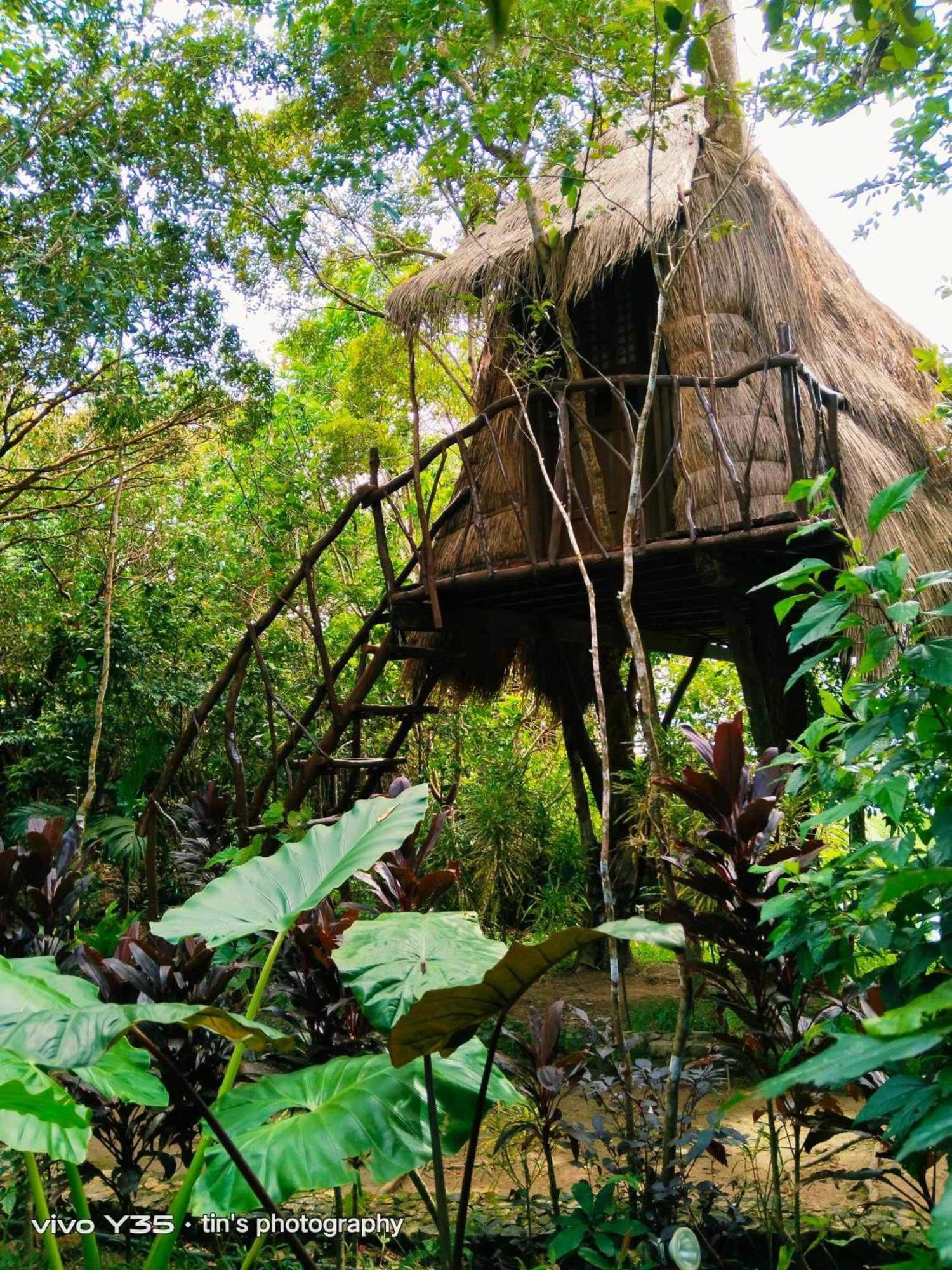 Sanctuaria Treehouses バスアンガ エクステリア 写真