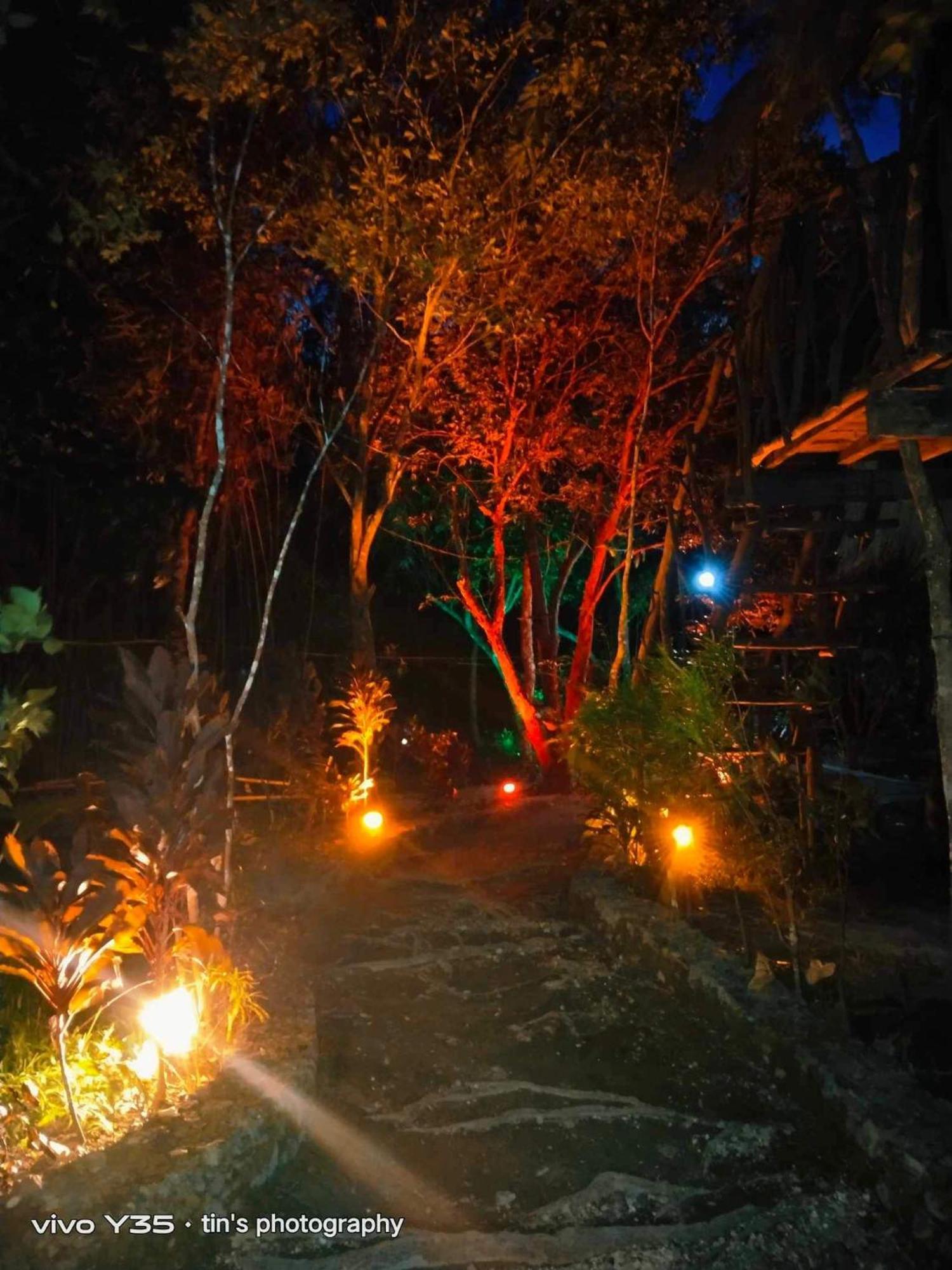 Sanctuaria Treehouses バスアンガ エクステリア 写真