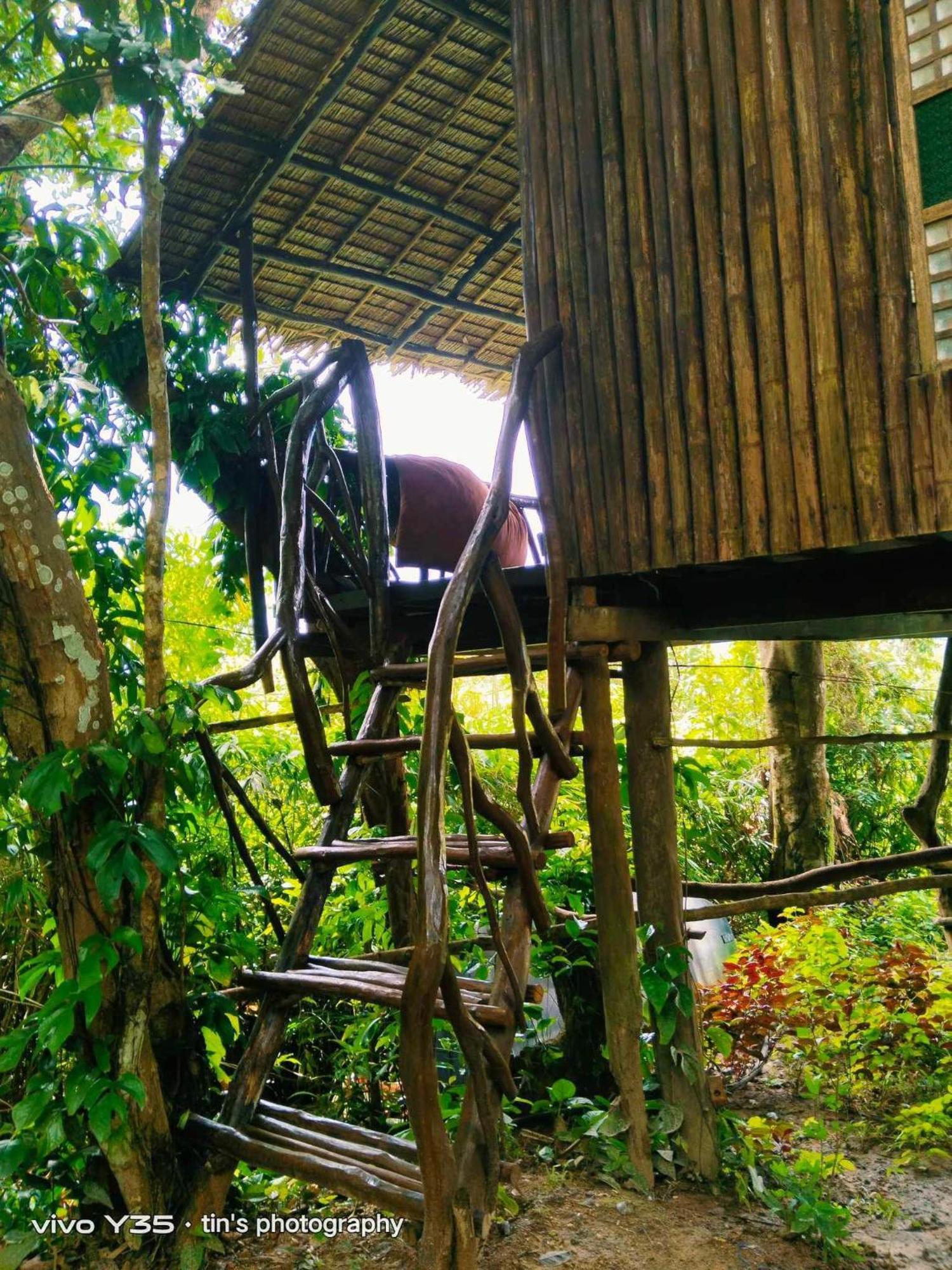 Sanctuaria Treehouses バスアンガ エクステリア 写真