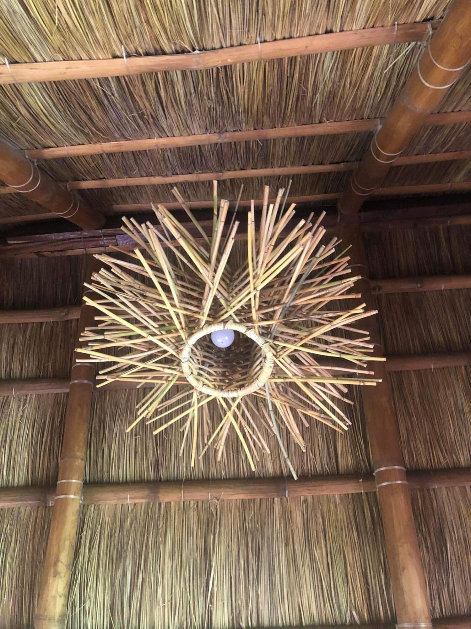 Sanctuaria Treehouses バスアンガ エクステリア 写真