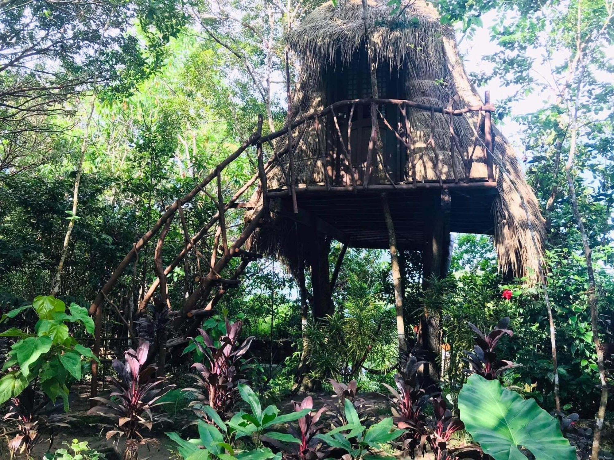 Sanctuaria Treehouses バスアンガ エクステリア 写真