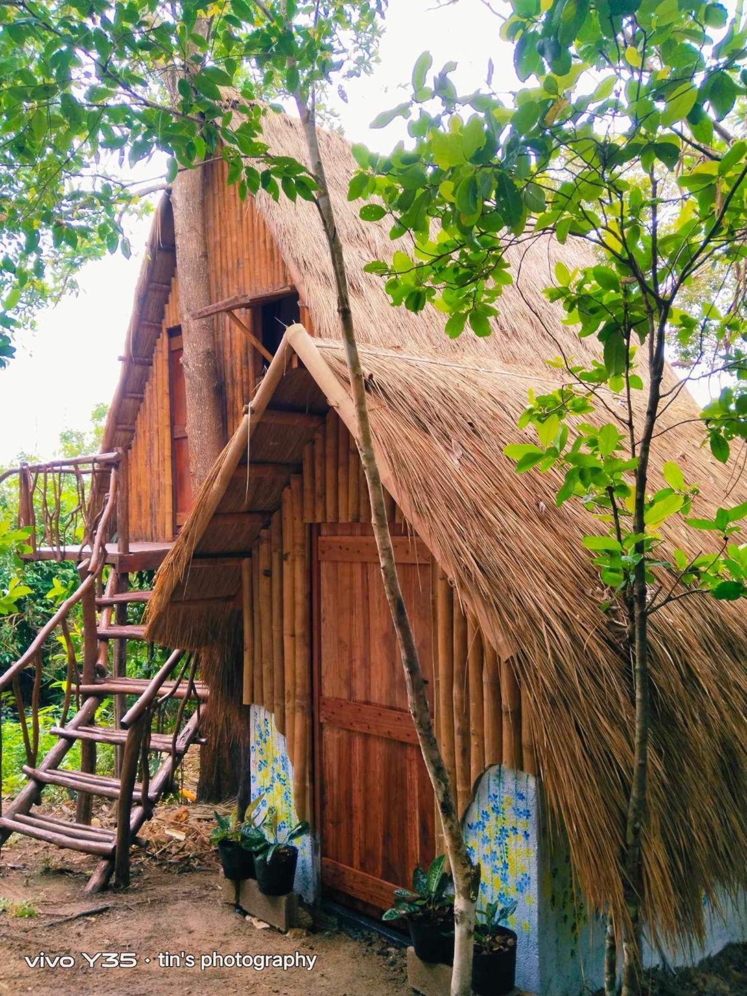 Sanctuaria Treehouses バスアンガ エクステリア 写真