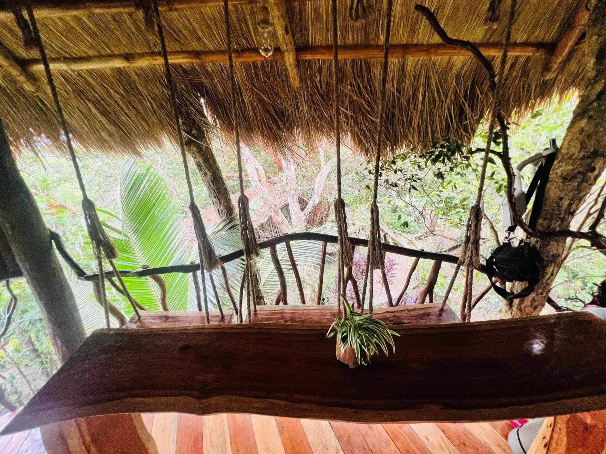 Sanctuaria Treehouses バスアンガ エクステリア 写真
