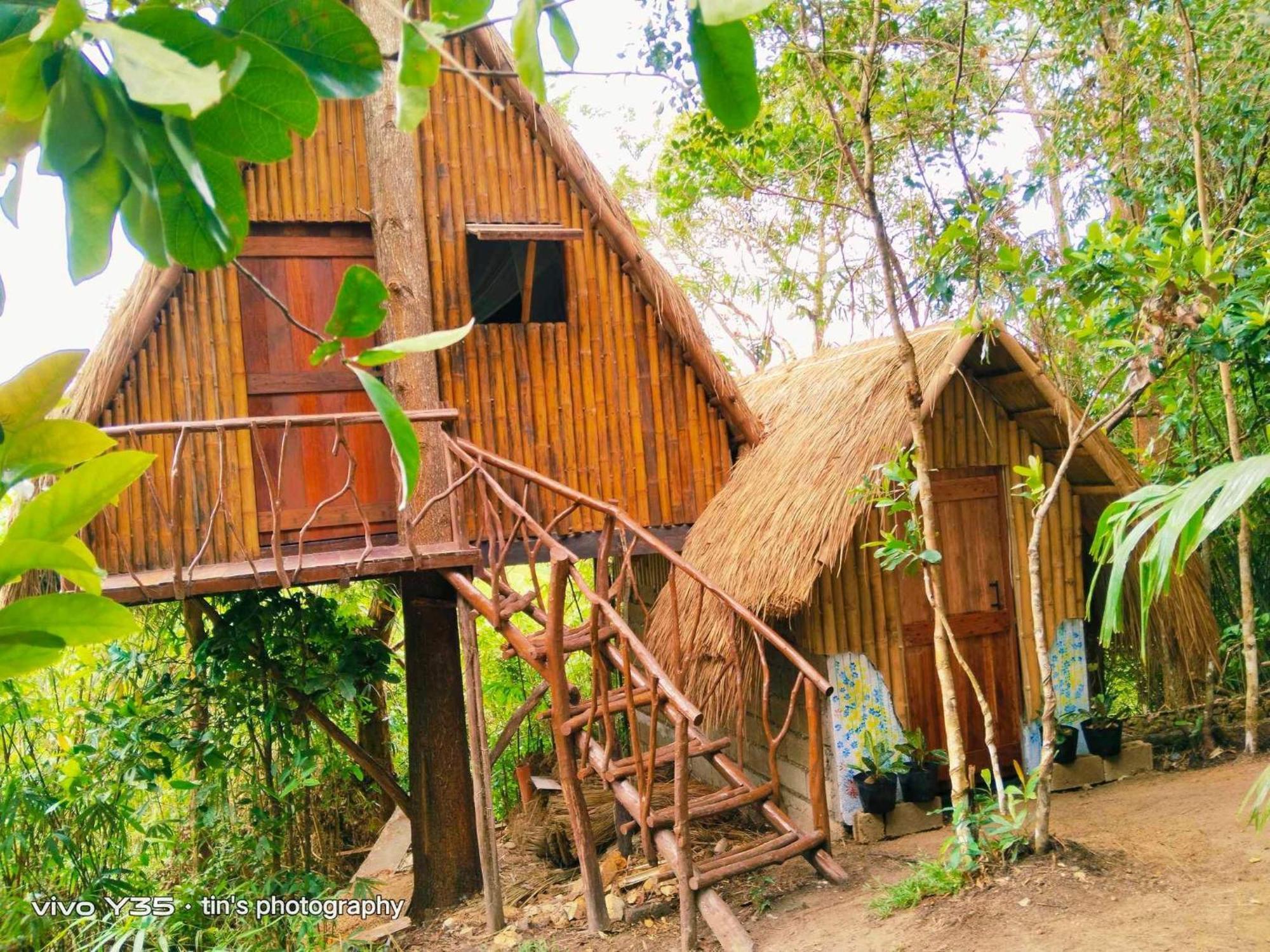 Sanctuaria Treehouses バスアンガ エクステリア 写真